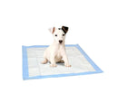 Set 10+1 traverse assorbenti 60x60 cm Adesive per cani e gatti cattura odori-2