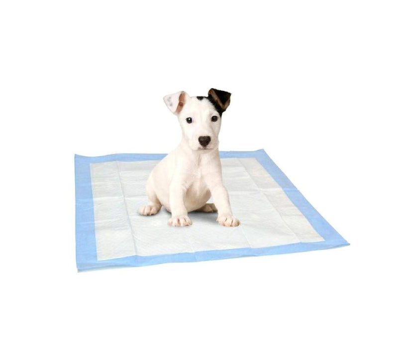 Set 10 traverse assorbenti 60x60 cm per cani e gatti cattura odori-2