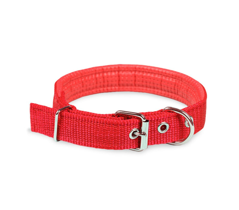 Collare per Cani Phoenix con Fibbia regolabile Razza Piccola in Nylon Regolabile Rosso-1