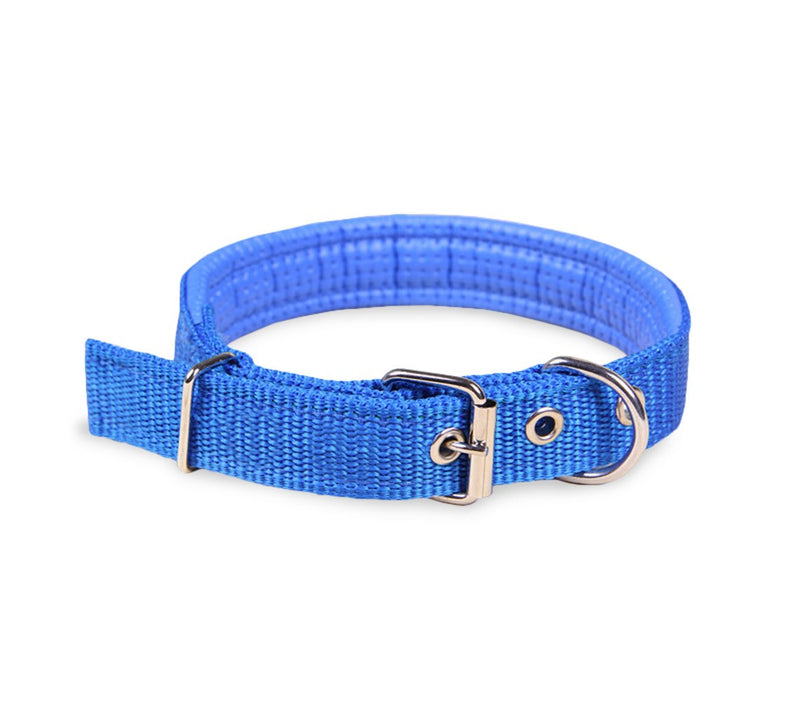 Collare per Cani Phoenix con Fibbia regolabile Razza Piccola in Nylon Regolabile Celeste-1