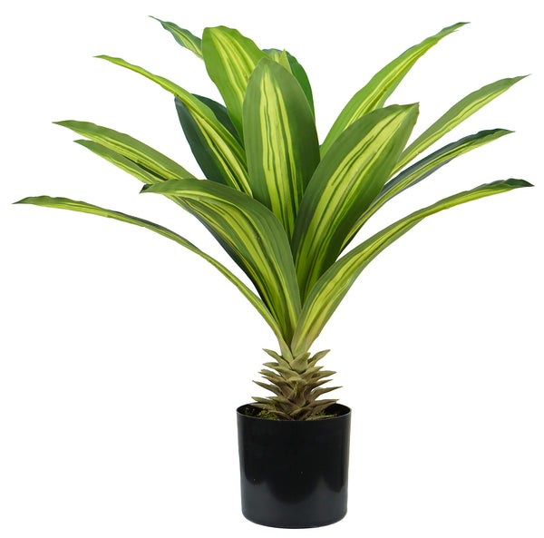 Kunstpflanze Dracaena H60 cm mit grünem Topf prezzo