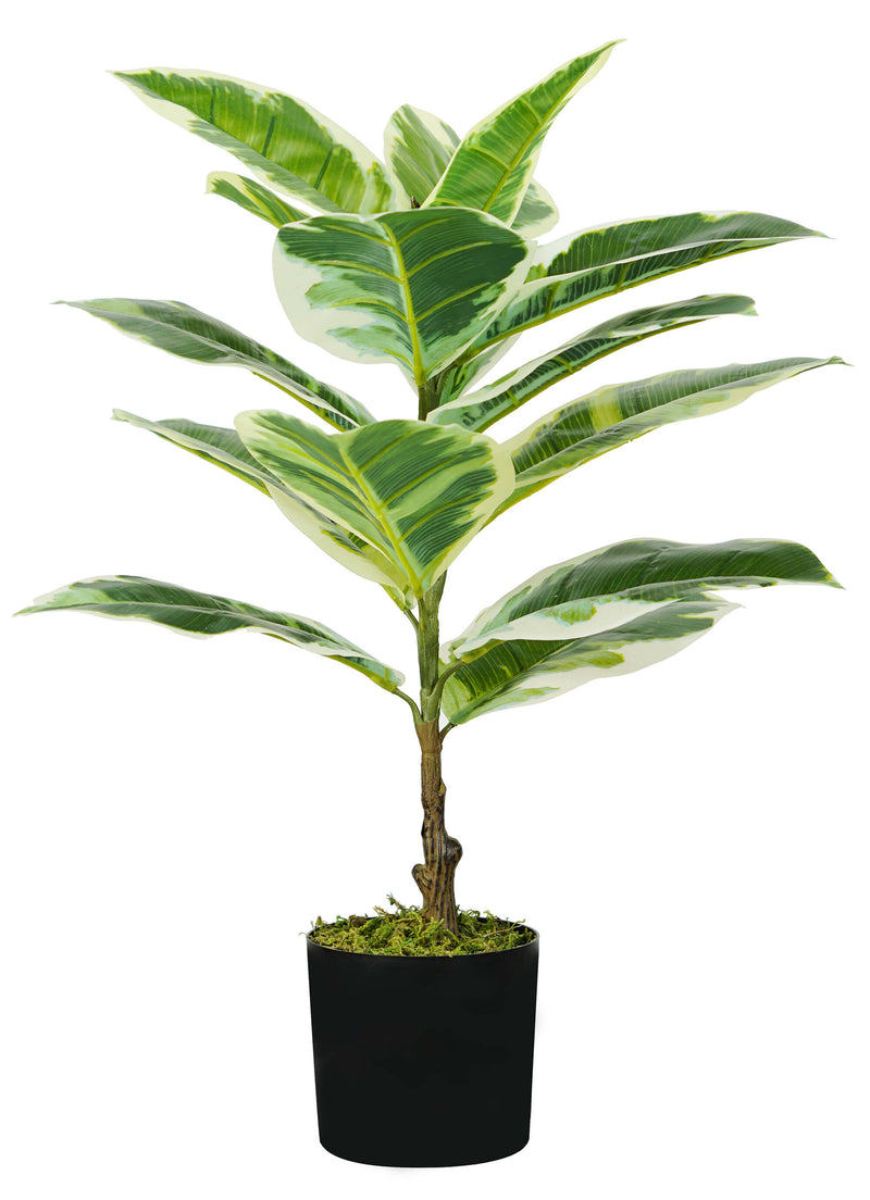 Pianta Artificiale Ficus Elastica H65 cm con Vaso Verde-1