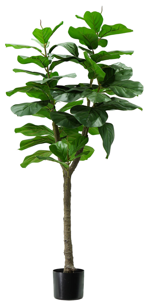 online Kunstpflanze Ficus Lyrata H130 cm mit grünem Topf