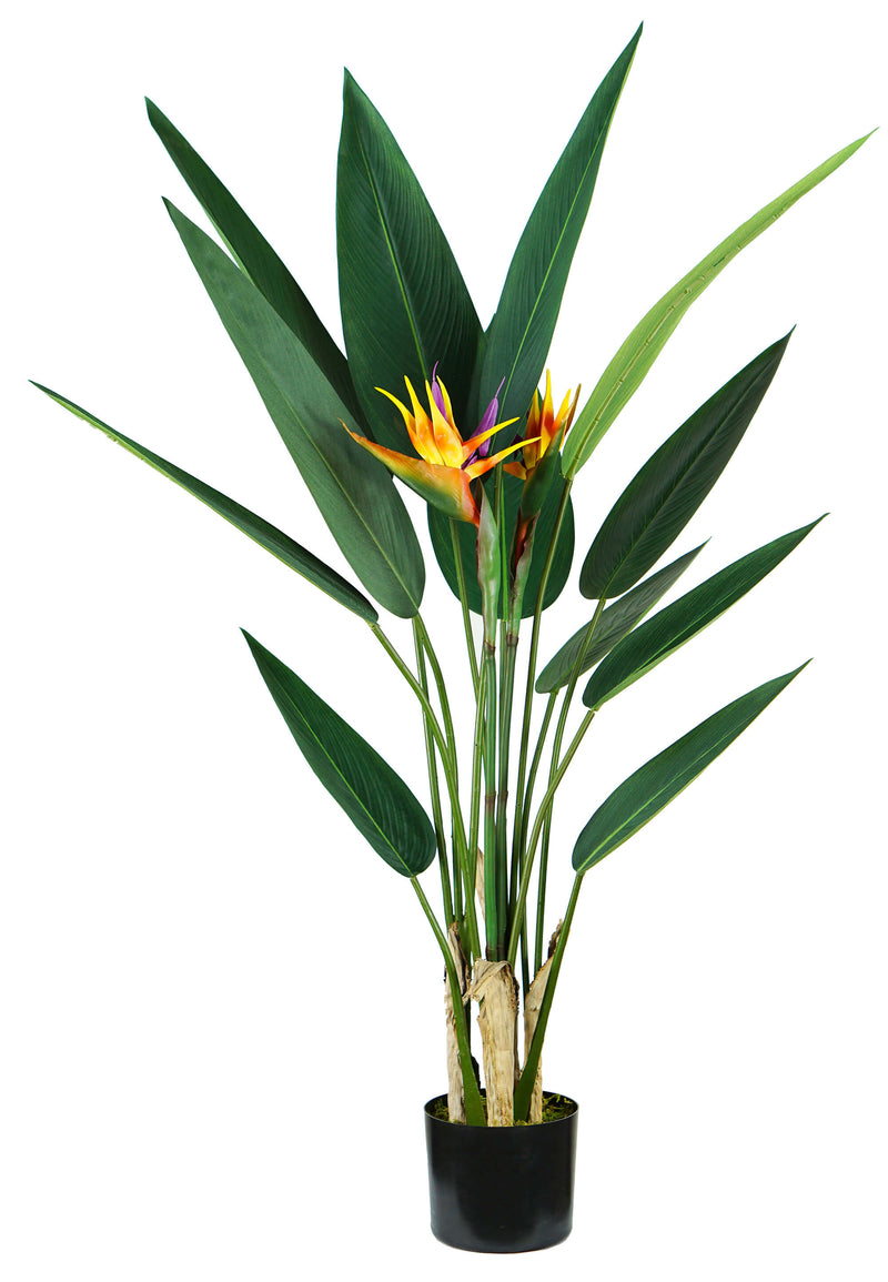 Pianta Artificiale Strelitzia H120 cm con Vaso Verde-1