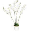 Pianta Artificiale Orchidea H75 cm con Vaso Bianco-1