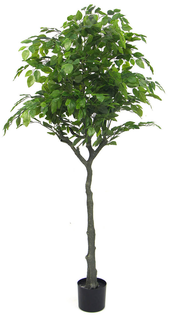 online Künstliche Pflanze H160 cm Ficus mit grünem Topf