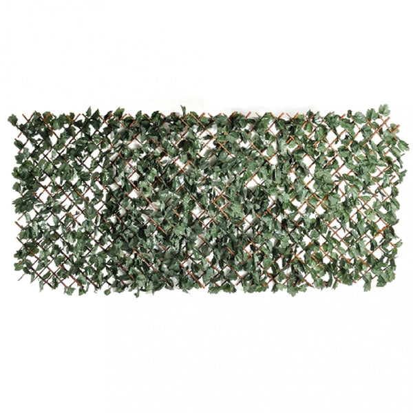 Ausziehbare synthetische Hecke Pittosporum 100 x 200 h cm aus grünem Polyethylen sconto