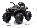 Quad Elettrico per Bambini 12V ATV Nero-5