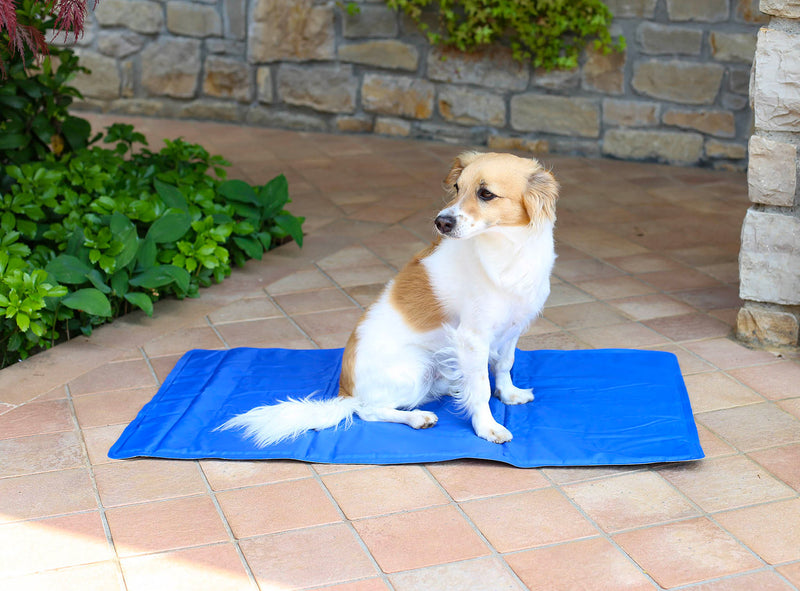 Tappetino Refrigerante Impermeabile 50x90 cm per Cani e Gatti Blu-2