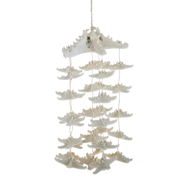 acquista Decoro con Stelle Marine H 40 cm