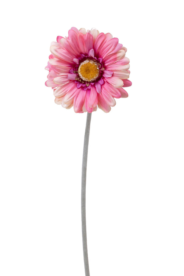 Set 12 Fiori Artificiali di Gerbera H 53 cm acquista