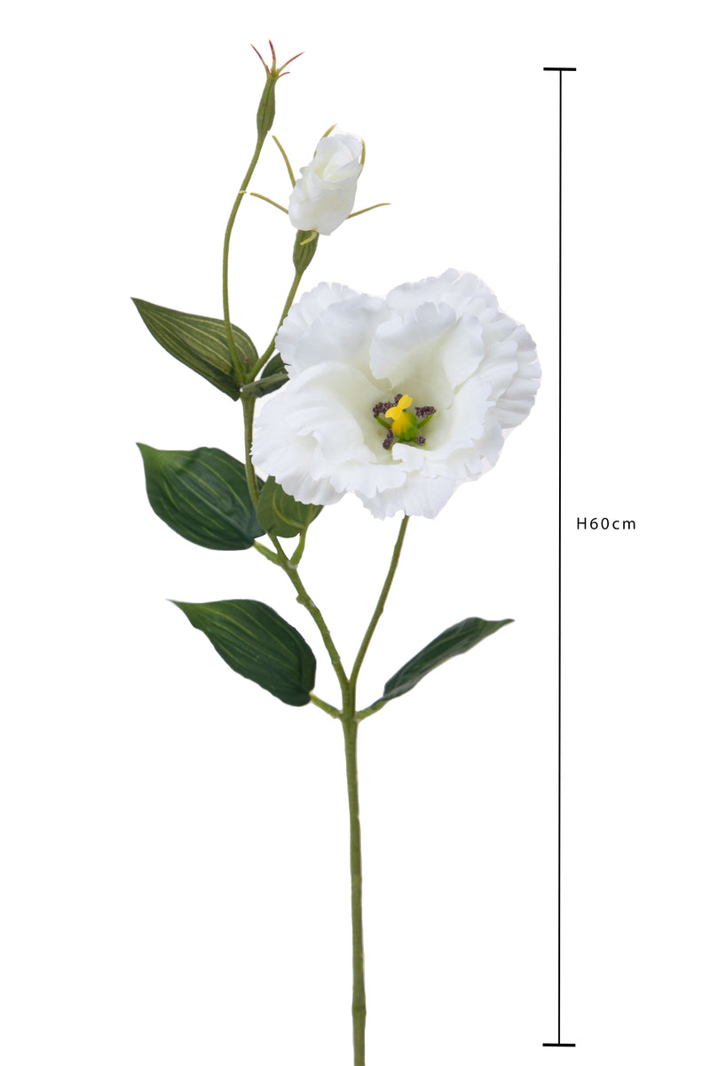 Set 12 Rami Artificiali Lisianthus 2 Fiori H 60 cm-3