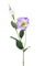 Set 12 Rami Artificiali Lisianthus 2 Fiori H 60 cm