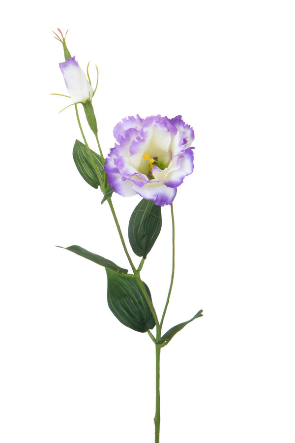 Set 12 Rami Artificiali Lisianthus 2 Fiori H 60 cm prezzo