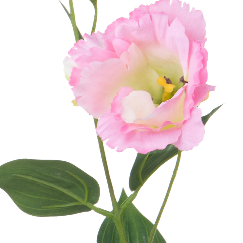 Set 12 Rami Artificiali Lisianthus 2 Fiori H 60 cm-2