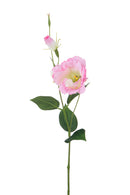 Set 12 Rami Artificiali Lisianthus 2 Fiori H 60 cm-1