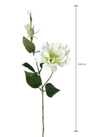 Set 12 Rami Artificiali Lisianthus 2 Fiori H 60 cm-2