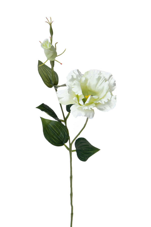 Set 12 Rami Artificiali Lisianthus 2 Fiori H 60 cm sconto