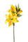 Set 6 Rami Artificiali Lilium Composto da 3 Fiori H 65 cm