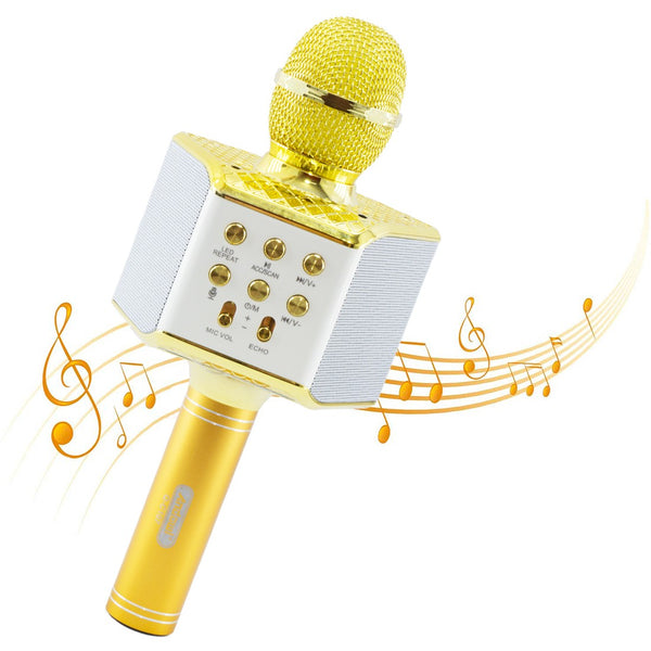 prezzo Drahtloses Karaoke-Mikrofon mit LED-Leuchten zum Aufnehmen, Singen und Abspielen von Goldmusik