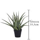 Pianta Artificiale Hawortia Aloe con Vaso H 355 cm-2