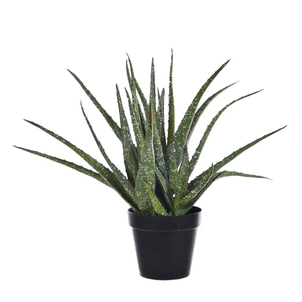 online Pianta Artificiale Hawortia Aloe con Vaso H 355 cm