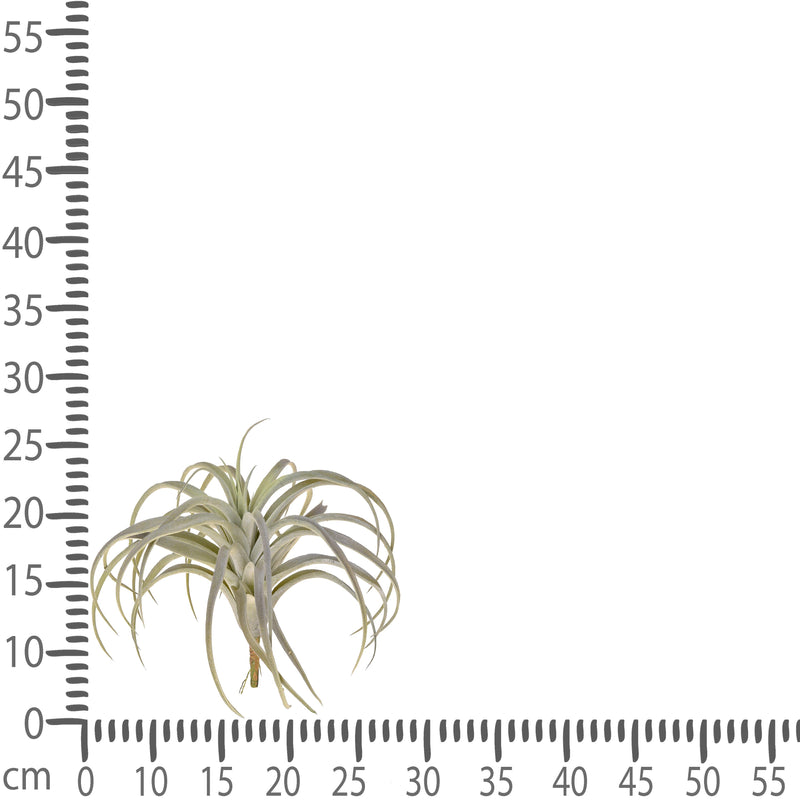 Set 2 Foglie Artificiali Tillandsia con 32 Foglie H 27 cm-3