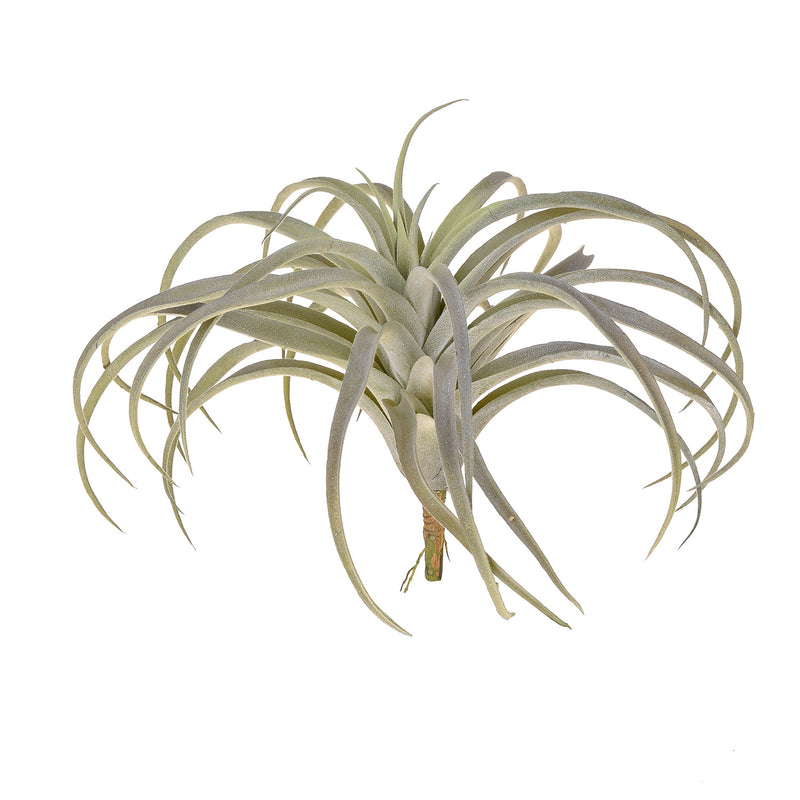 Set 2 Foglie Artificiali Tillandsia con 32 Foglie H 27 cm-1