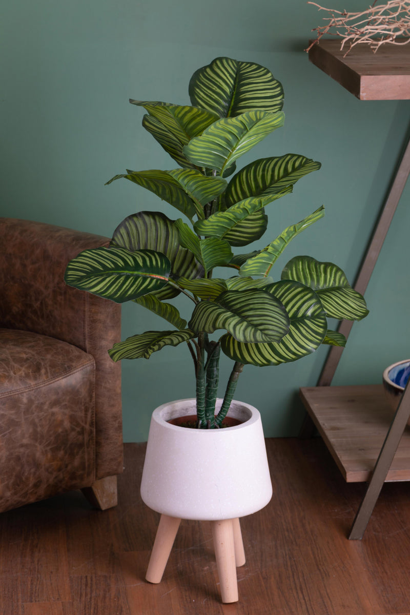 Pianta Artificiale Calathea in Vaso con 22 Foglie H 85 cm-5