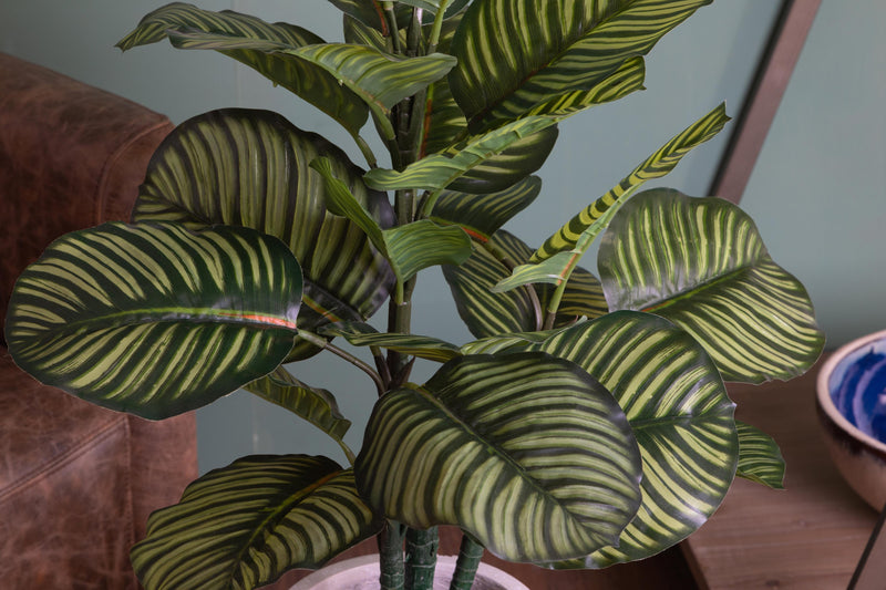 Pianta Artificiale Calathea in Vaso con 22 Foglie H 85 cm-6