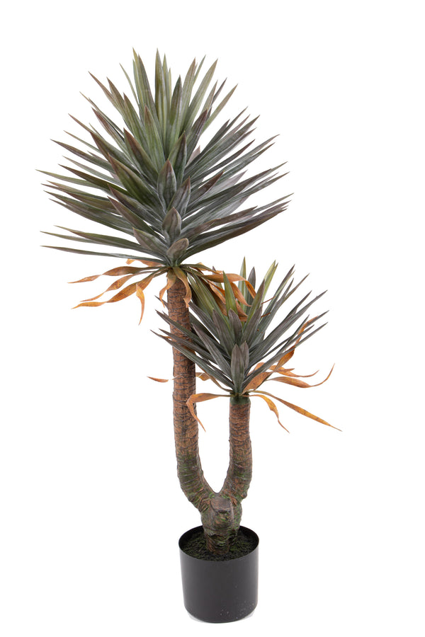 prezzo Pianta Artificiale Yucca in Vaso con 2 Diramazioni H 142 cm