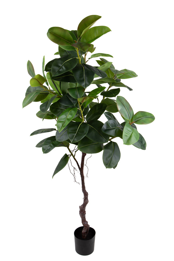 Pianta Artificiale Real Touch Rubber Ficus 210 cm con Vaso online