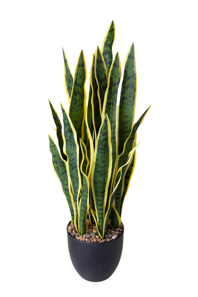 Pianta Artificiale Sanseveria con Vaso 78 cm -1