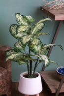 Pianta Artificiale Aglaonema in Vaso con 22 Foglie H 100 cm-2