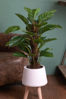 Pianta Artificiale Pothos in Vaso con 30 Foglie H 85 cm-2