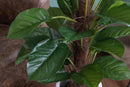 Pianta Artificiale Pothos in Vaso con 30 Foglie H 85 cm-3