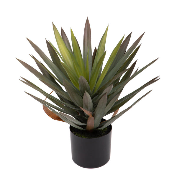 Pianta Artificiale Yucca Gloriosa 48 cm con Vaso prezzo