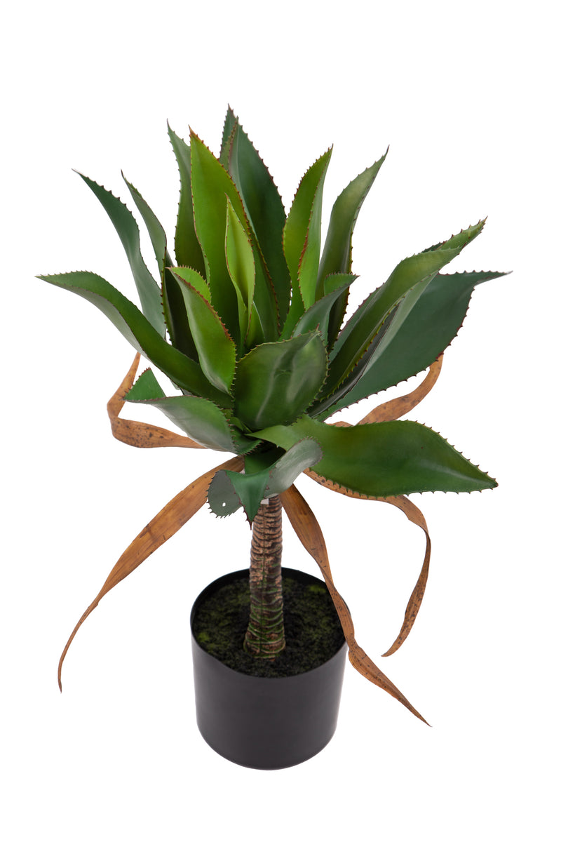 Pianta Artificiale Agave 71 cm con Vaso-2