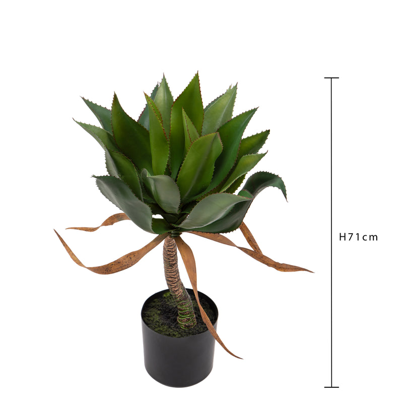 Pianta Artificiale Agave 71 cm con Vaso-4