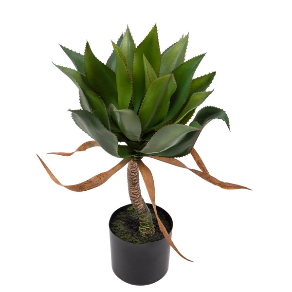 online Pianta Artificiale Agave H71 cm con Vaso