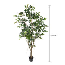 Pianta Artificiale Ficus con Vaso H 183 cm-2