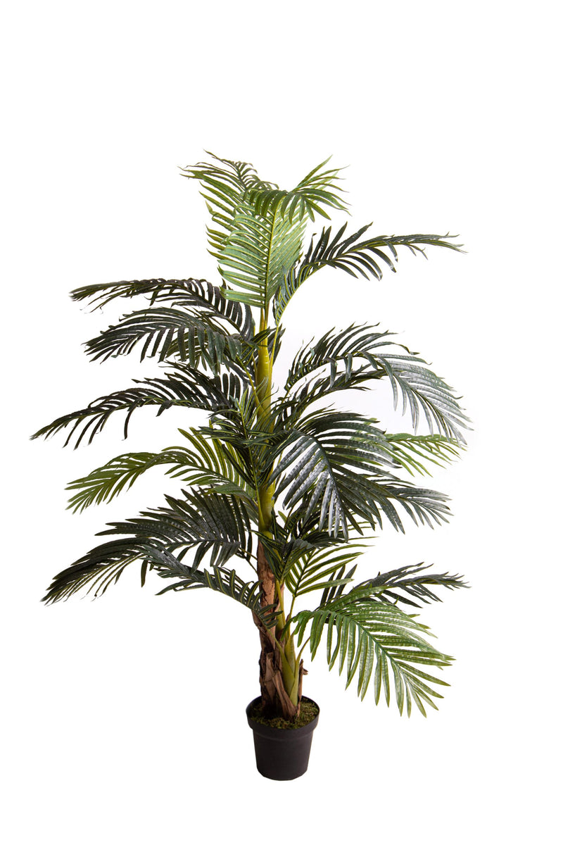 Pianta Artificiale Areca con Vaso H 190 cm -1