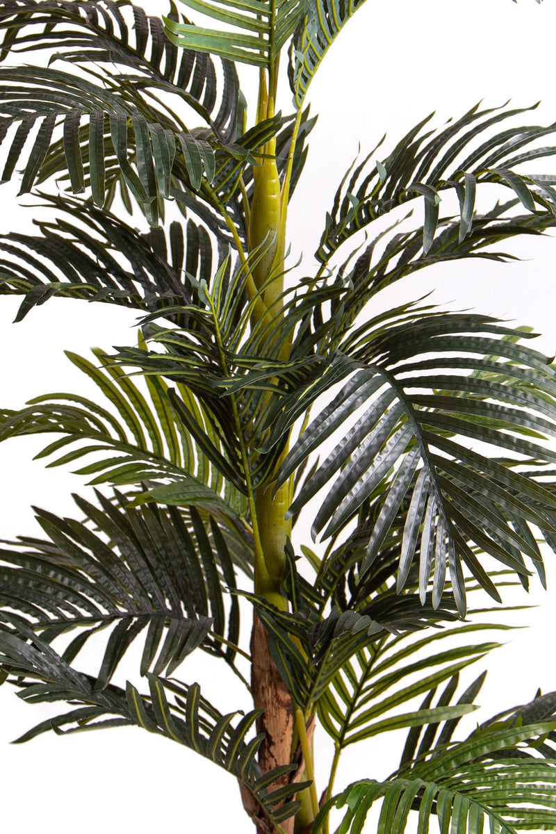 Pianta Artificiale Areca con Vaso H 190 cm -4