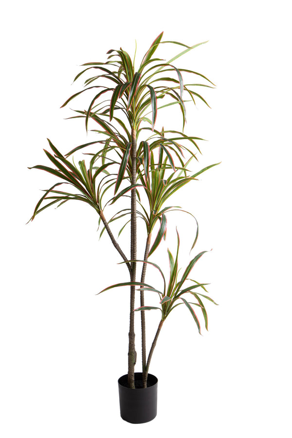 Pianta Artificiale Dracena Marginata con Vaso 190 cm acquista