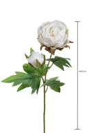 Set 6 Rami Artificiali Peonia per 2 Fiori 60 cm-3