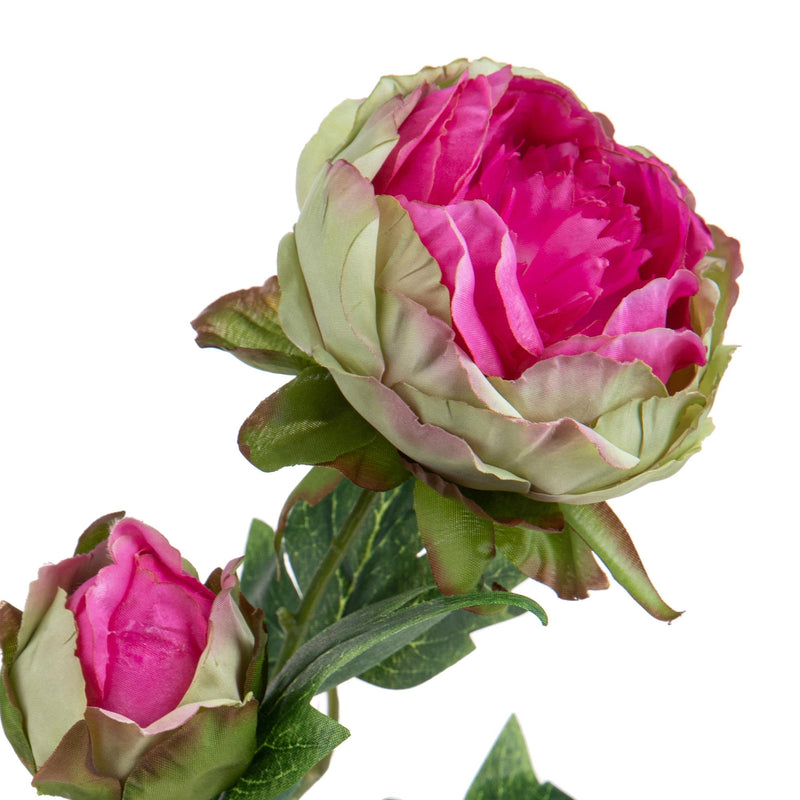 Set 6 Rami Artificiali Peonia per 2 Fiori 60 cm-2