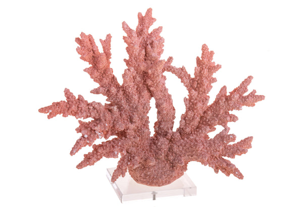 Corallo Resina con Base H 30 cm online