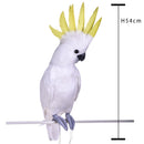 Pappagallo Cacatua H 54 cm-2