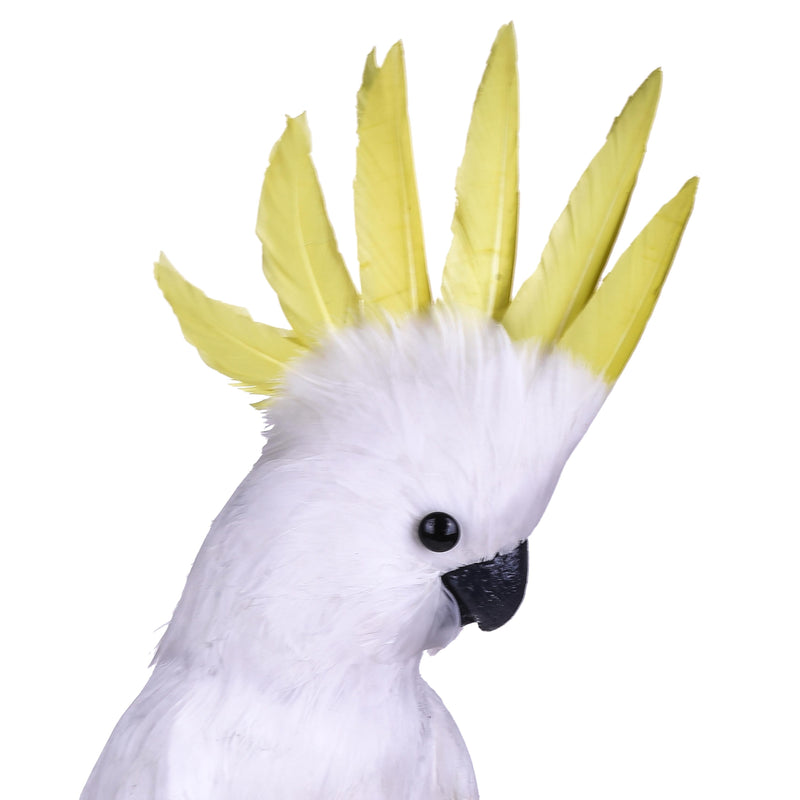 Pappagallo Cacatua H 54 cm-3