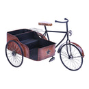 Modellino Bici Sidecar con Contenitore Larghezza 58 cm-1